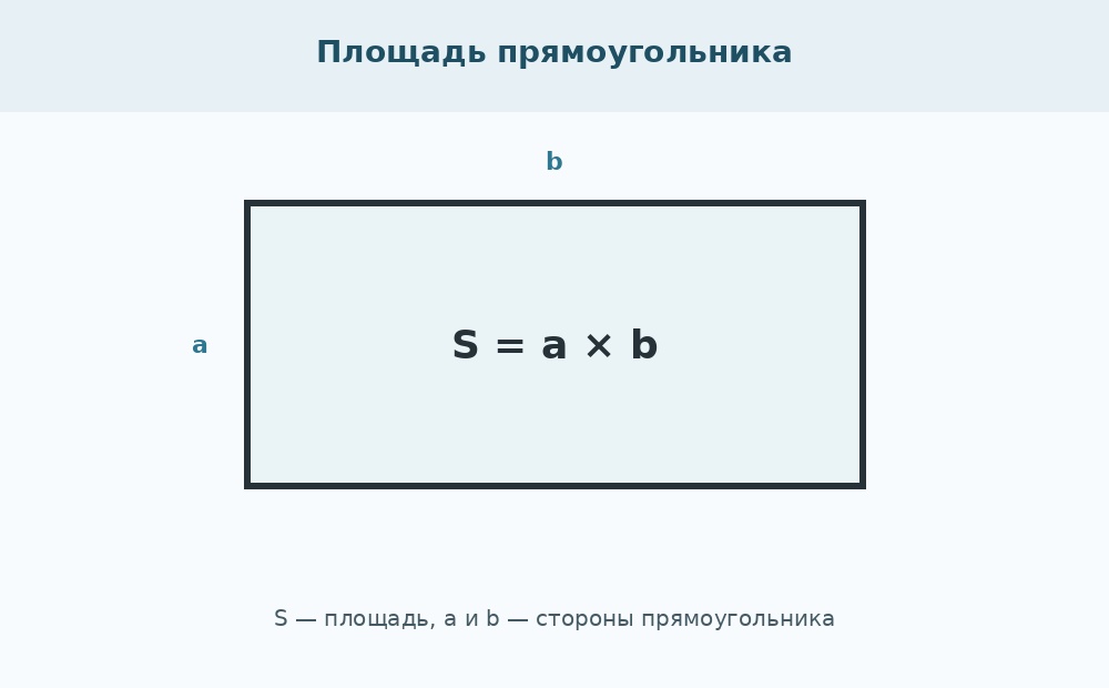 Площадь прямоугольника