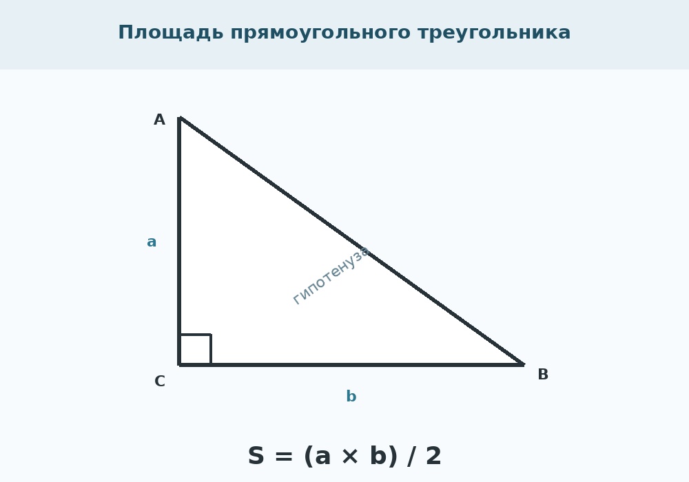 Площадь прямоугольного треугольника
